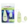 Pocket Exotics Glow-in-the-Dark Egg