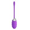 Pretty Love Franklin Rechargeable Egg Vibe - Purple