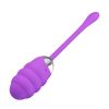 Pretty Love Franklin Rechargeable Egg Vibe - Purple