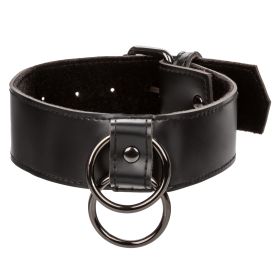 Euphoria Collection Collar With Chain Leash -  Black